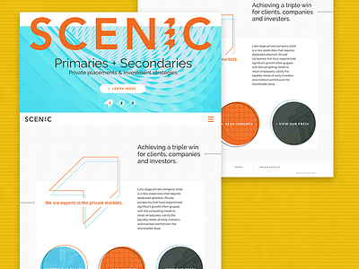 Scenic Homepage flat geometric retro web design website