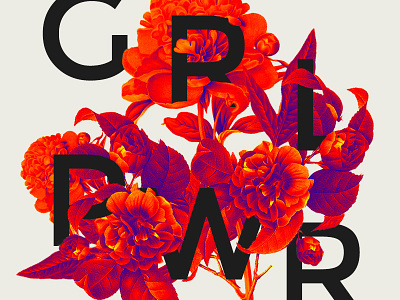 Girl Power bold collage flora flower girl power graphic design international womens day red type typography