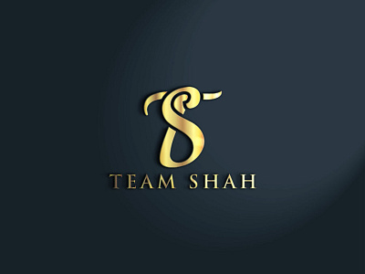 Team Shah(Nickname) Logo design logo