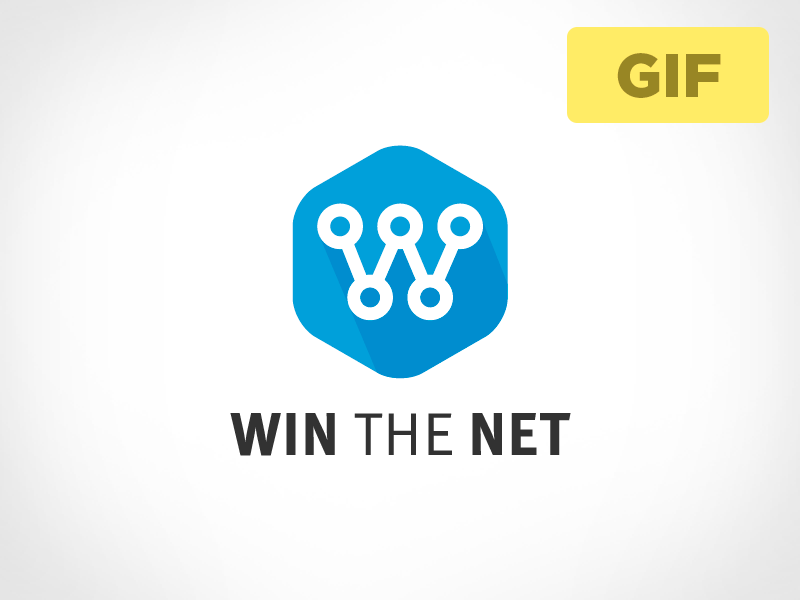 Win The Net [GIF] blue brand flat grid guide logo logotype net network seo shadow system