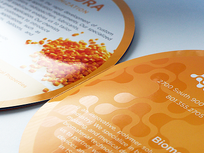 Double sided brochure with Spot UV branding concepting custom photography naming printed brochure visual identity