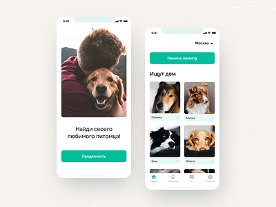 Animal shelter app app design ui