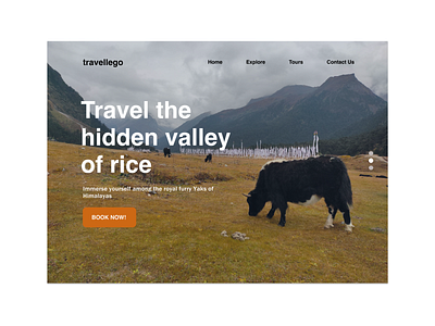 Travel Website dailyui design ux website