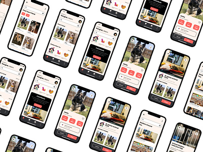 Pet Adoption App app branding case study dailyui design graphic design ios pet pet adoption pet app ui ui design ux ux case study
