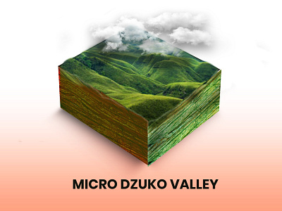 micro world concepts dzukovalley dzukovalley graphic design interactivedesign microworld