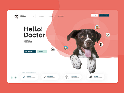 Pets Care website Design