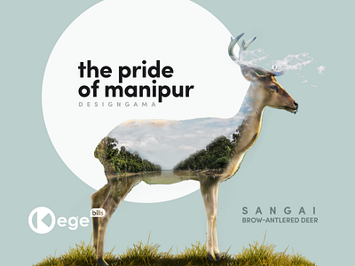 Sangai bannerdesign graphic design