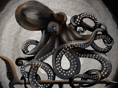 Octopus