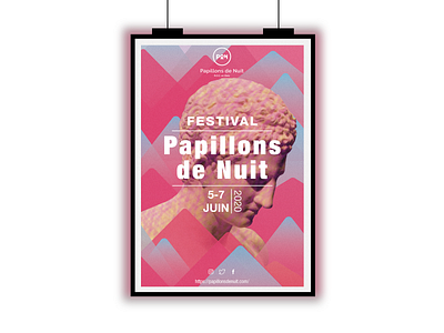 Festival Papillons de Nuit graphic design illustrator indesign papillon de nuit photographie photoshop publicité