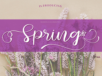 Spring font