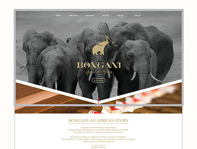 UI/UX - Bongani Cigars branding cigar branding cigar website cigars elephant interactive design ui ux web design website website concept website design