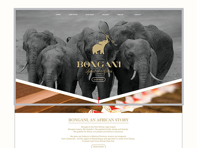 UI/UX - Bongani Cigars