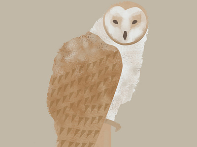 owl