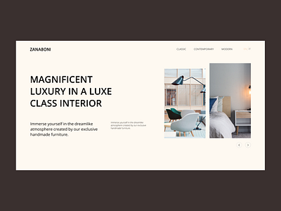 Landing Page For Zanaboni Brand