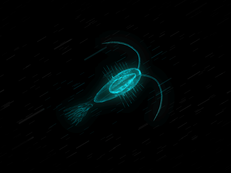Luminescent Plankton