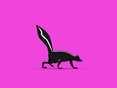 Skunk after effects animal animation ilustration skunk