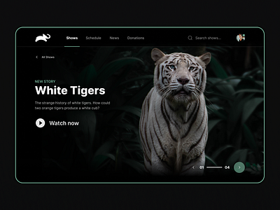 Animal Planet - Redesign Concept animal animalplanet concept design figma redesign tiger ui ux