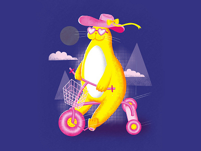 Seal Biking bike character cute illustration design digitalart fundoodle seal