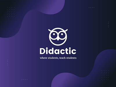 Didactic brand brand identity branding dark gradient identity illustrations logo owl purple