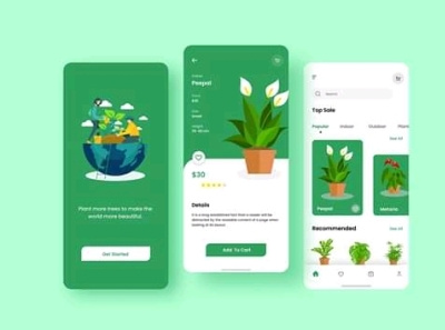 Plant Ordering App user interface