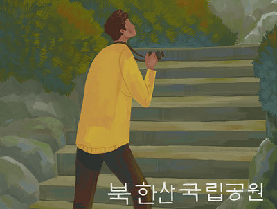 Bukhansan National Park, South korea digital illustration digital painting illustration illustrator typography