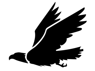 Majestic Eagle
