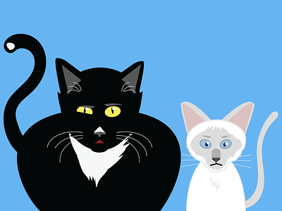 Two Cats black cat cats characters illustration siamese