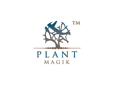 Plantmagik care hair care logo logo design magic nature plant wellness