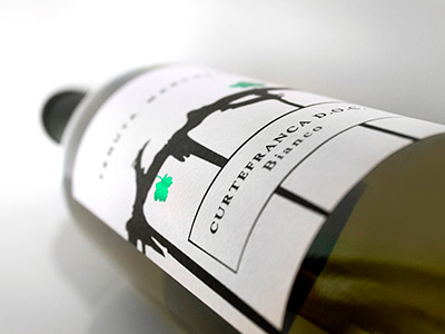 Curtefranca Bianco bevande beverage design etichetta food graphicdesign graphics label labeldesign sparkling vino wine