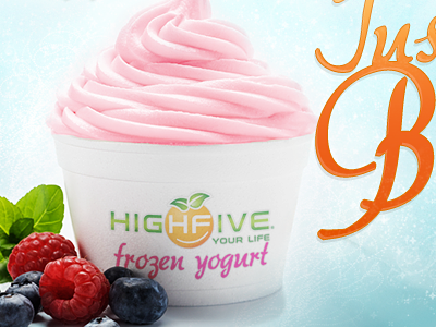 HighFive Frozen Yogurt Website web