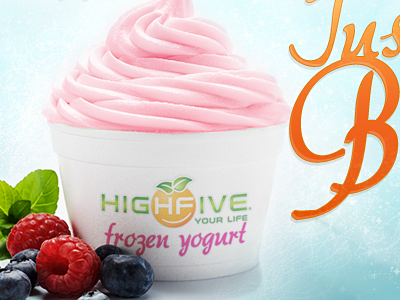 HighFive Frozen Yogurt Website