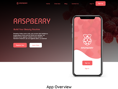 Raspberry Beauty app design ui ux web