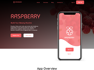 Raspberry Beauty app