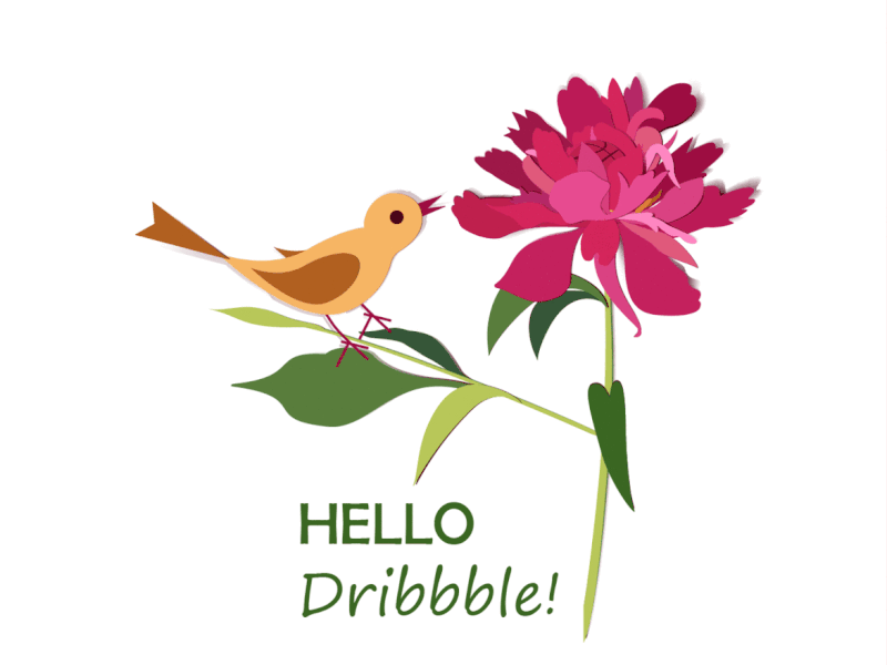 Hello, Dribbble! bird dribbble flower gif graphic design illustration pion ui vector