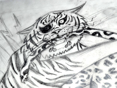 Bad kitty pencil gigposter jason taylor leopard pencil sketch tiger
