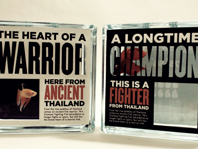 Siamese Fighting Fish Final Packaging betta champion die cut fighter fighting poster fish packaging siamese thailand typography warrior