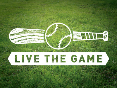 Baseball ball baseball bat grass green sport sports type wood