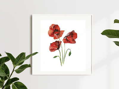 Poppy flower. art drawing interiorpainting painting poppyflower watercolor