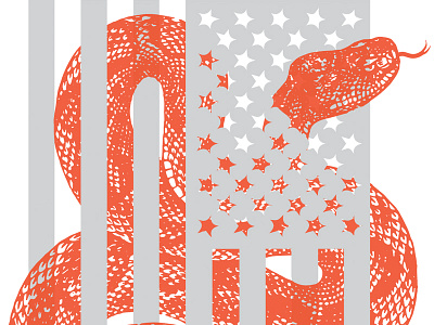Ballots and Brews Poster america flag illustration politics poster snake vector