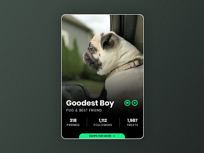 Daily UI: User Profile dailyui dailyui006 profile pug ui user user profile