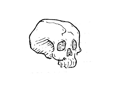 Doodlin Skulls doodle drawing illustration skeliton sketch skull