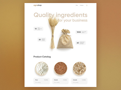 Agro Shop — Website