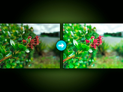 Subtle Photo Adjustments in Lightroom