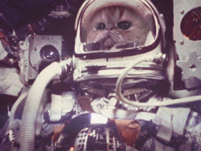 astronaut_cat_03.gif
