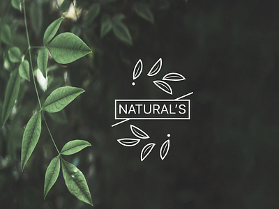 NATURALS LOGO branding design flat illustration lettering logo logo design lettering minimal typography