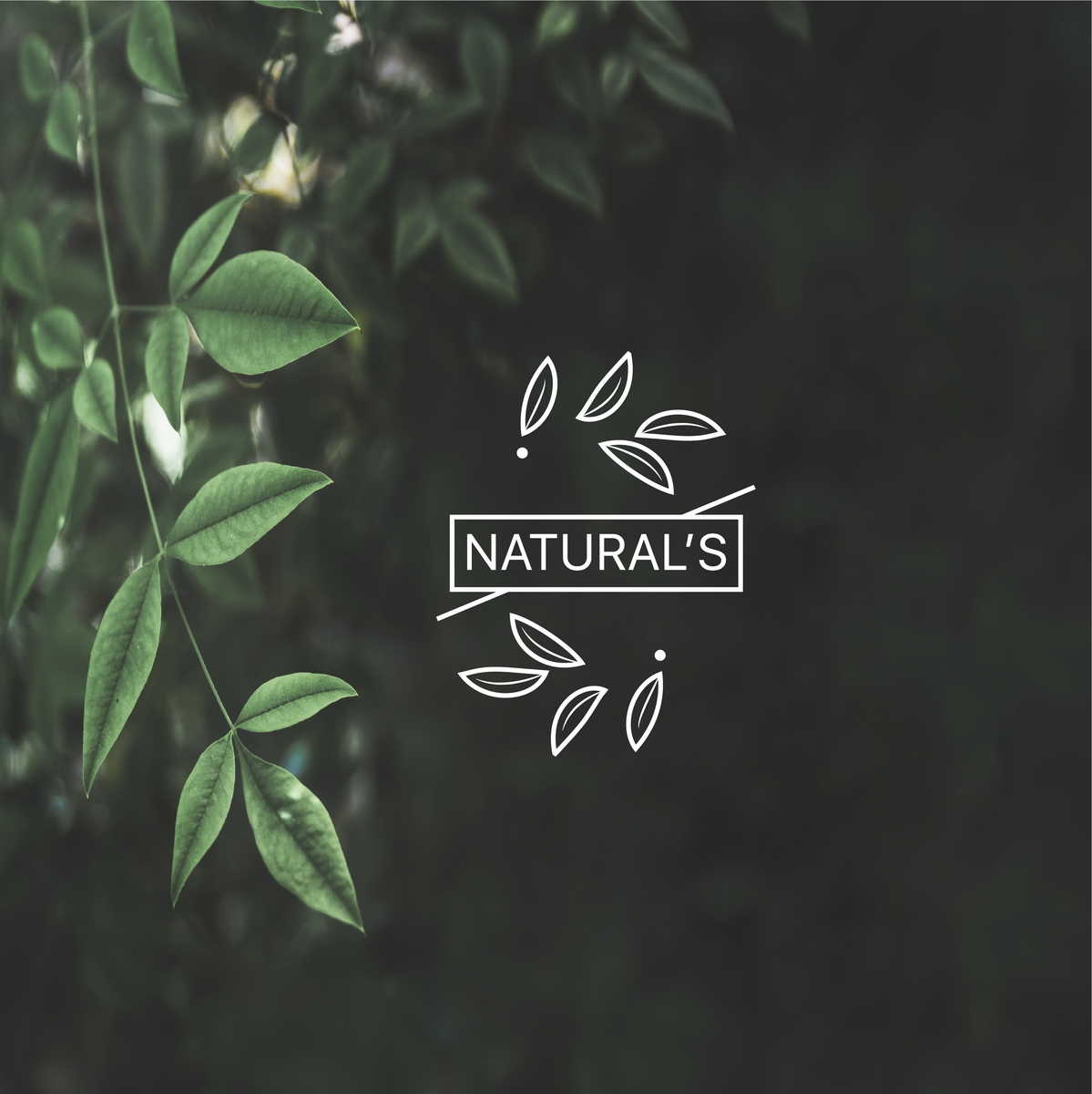 Naturals Logo By Farjana Bithi On Dribbble