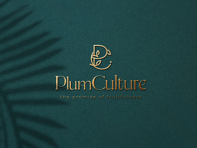 luxury minimal logo