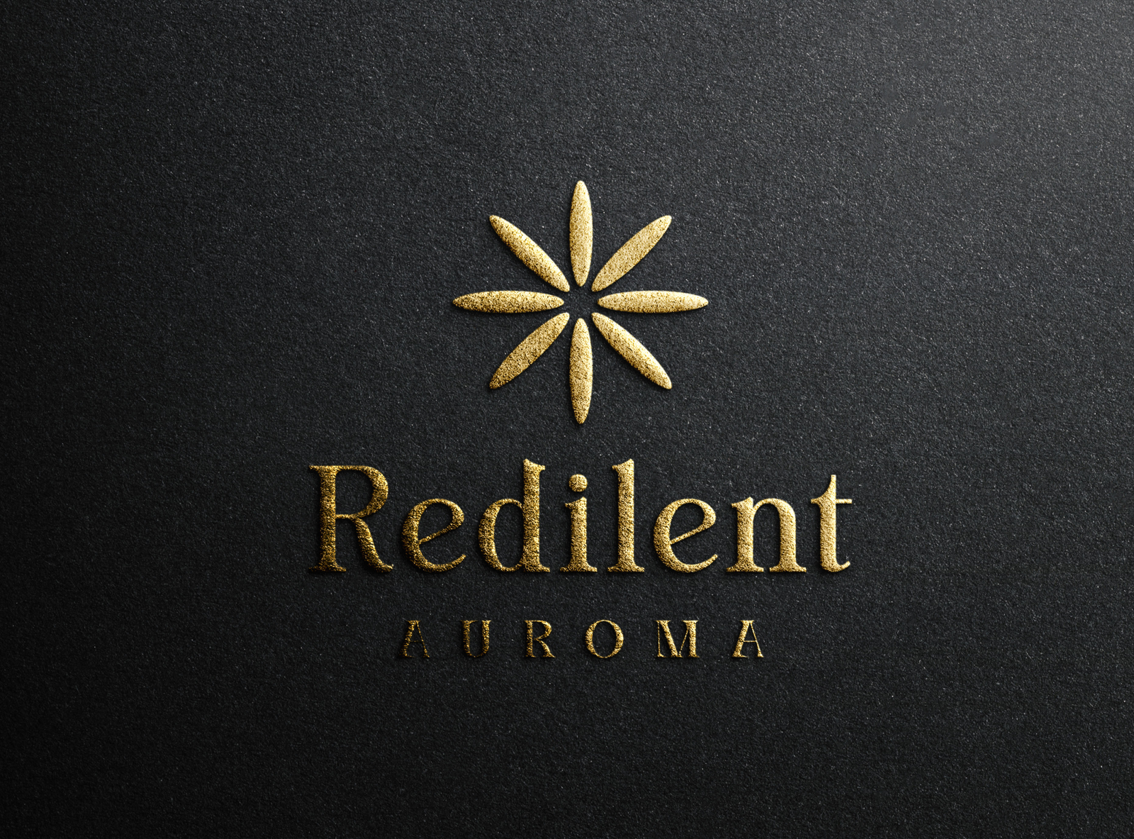 Radient Auroma By Farjana Bithi On Dribbble