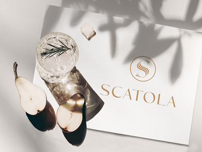 SCATOLA LOGO