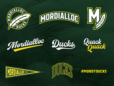 Mordialloc Ducks Graphics baseball ducks mordialloc sport design sports